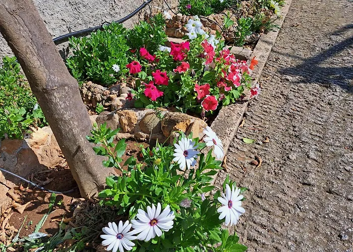 Garden House-Free Transfer From Airport
