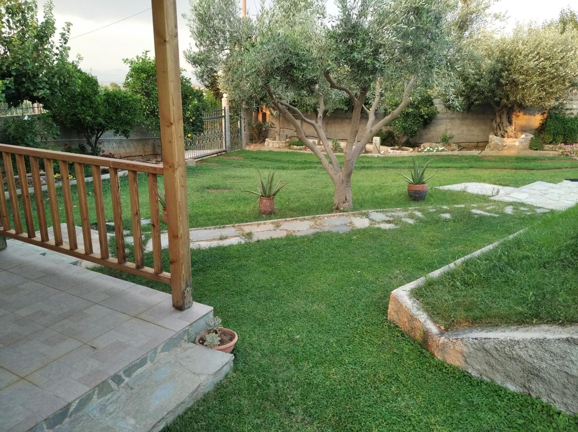 Garden House-free Transfer From Airport Tatil Evi *