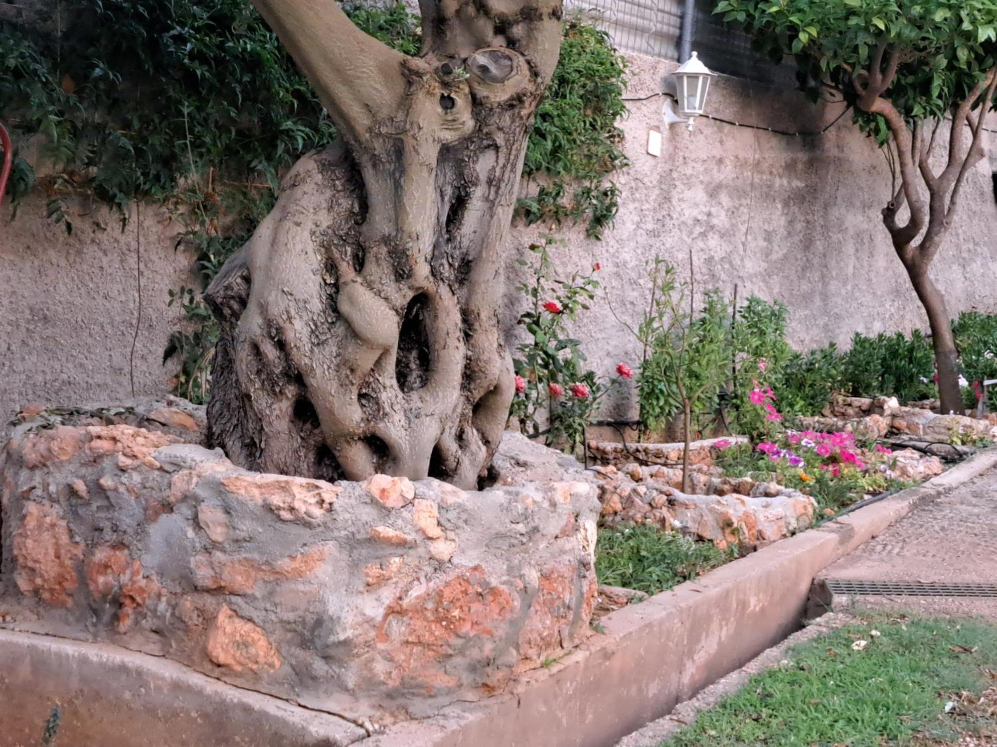 Garden House-free Transfer From Airport * Artemida (Attica)