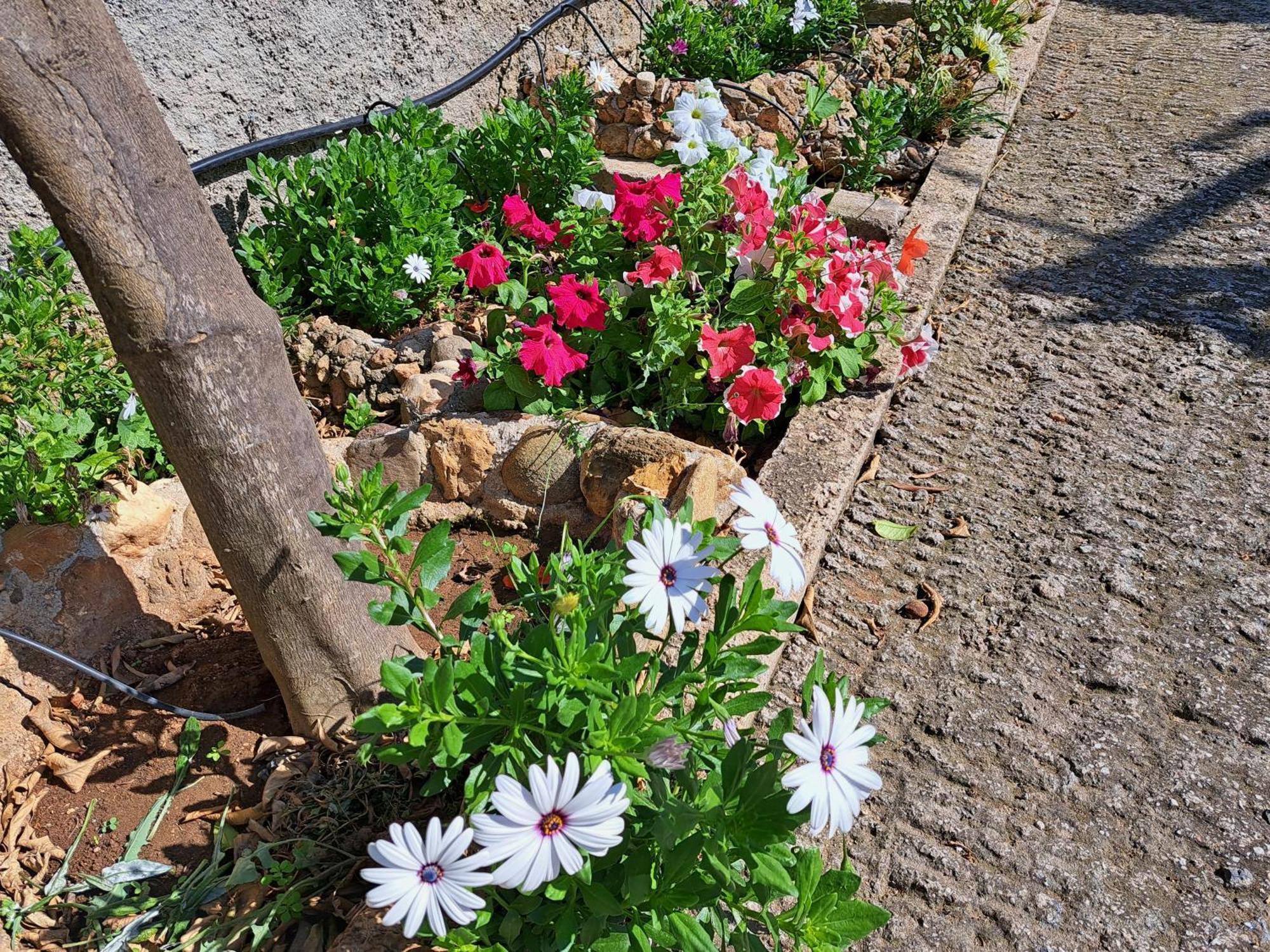 Garden House-free Transfer From Airport Tatil Evi *