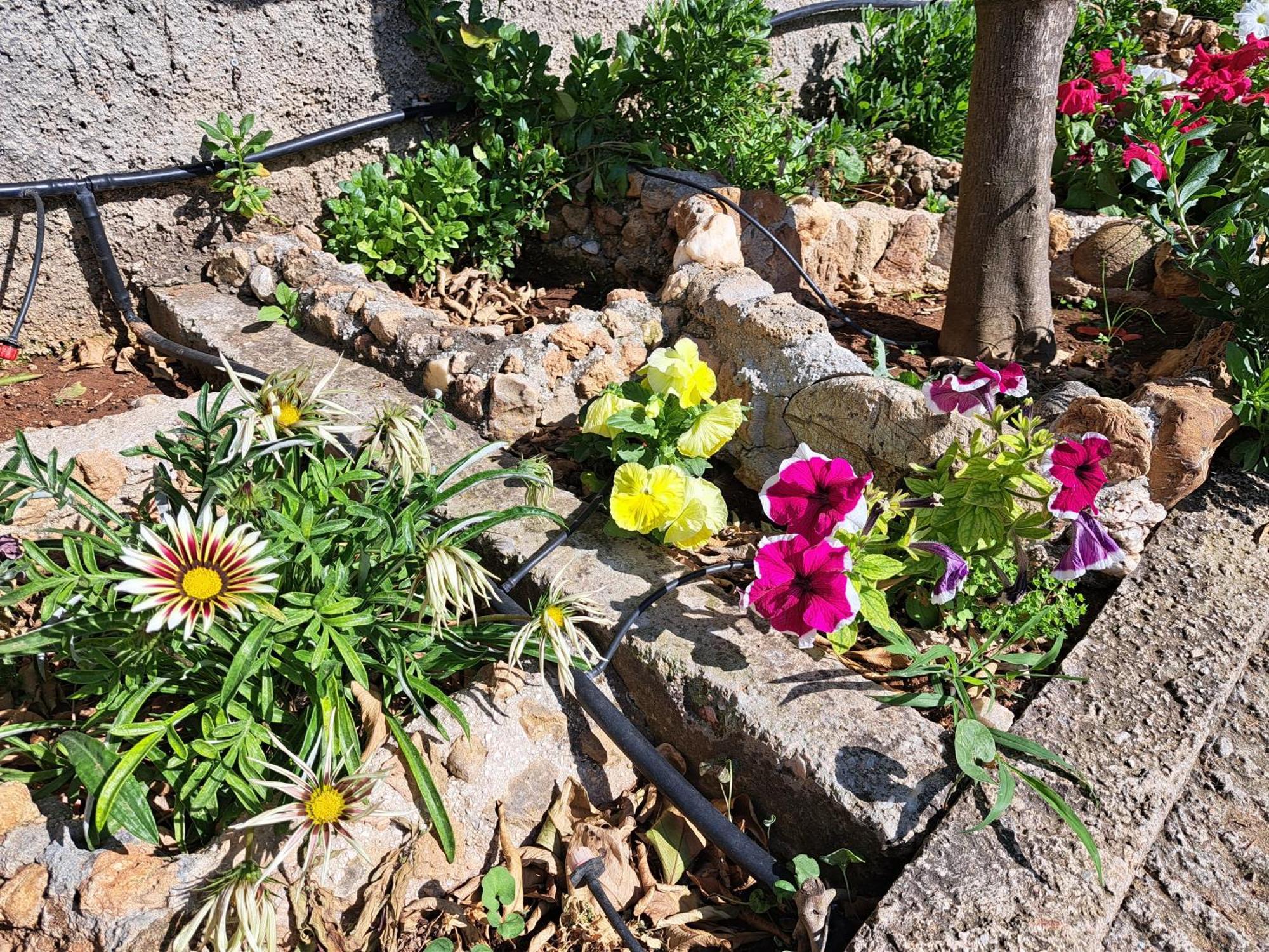 Tatil Evi Garden House-free Transfer From Airport *