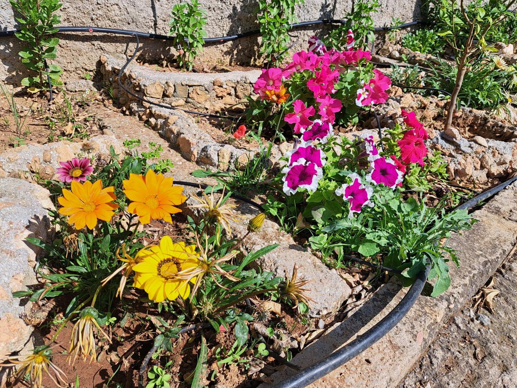 Tatil Evi Garden House-free Transfer From Airport