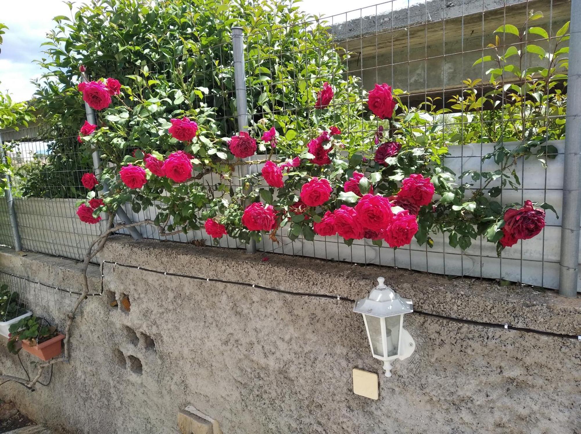 Garden House-free Transfer From Airport Artemida (Attica)
