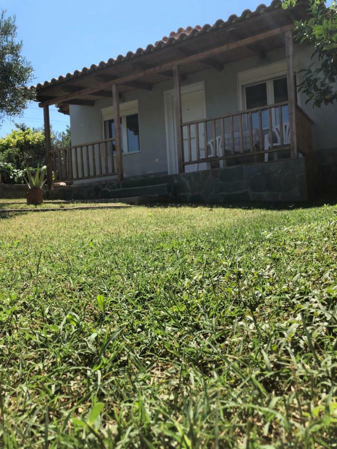 Garden House-free Transfer From Airport * Artemida (Attica)